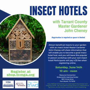 TCMGA EDUCATION CLASS-"INSECT HOTELS"--SATURDAY, JUNE 14, 2025 from 10am to NOON-OPEN TO THE PUBLIC